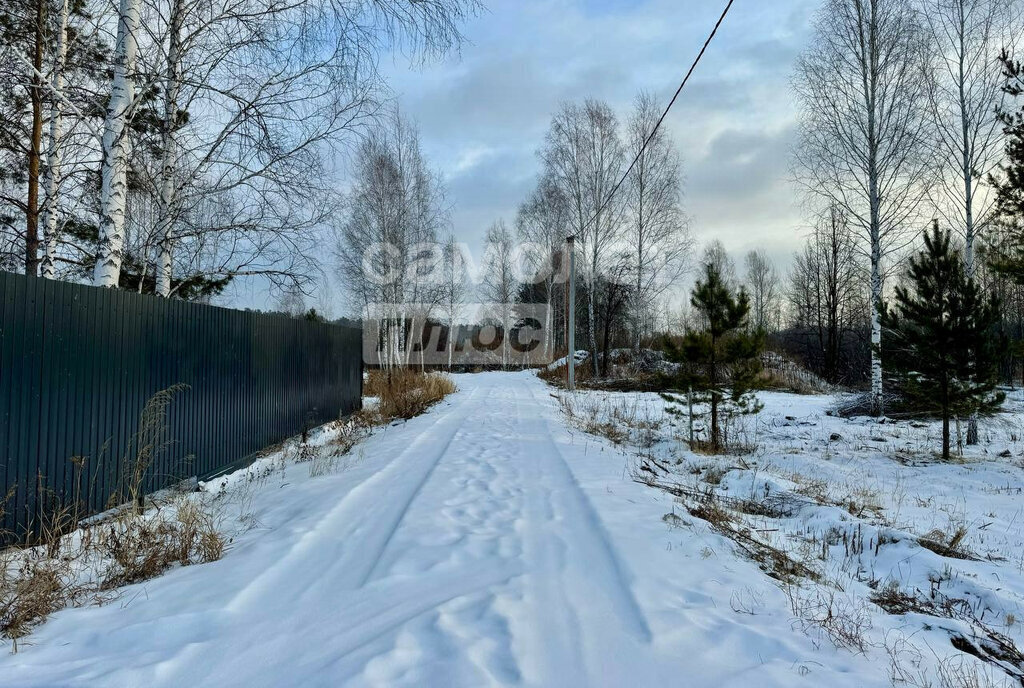 земля р-н Нижнетавдинский снт Сундукуль фото 2