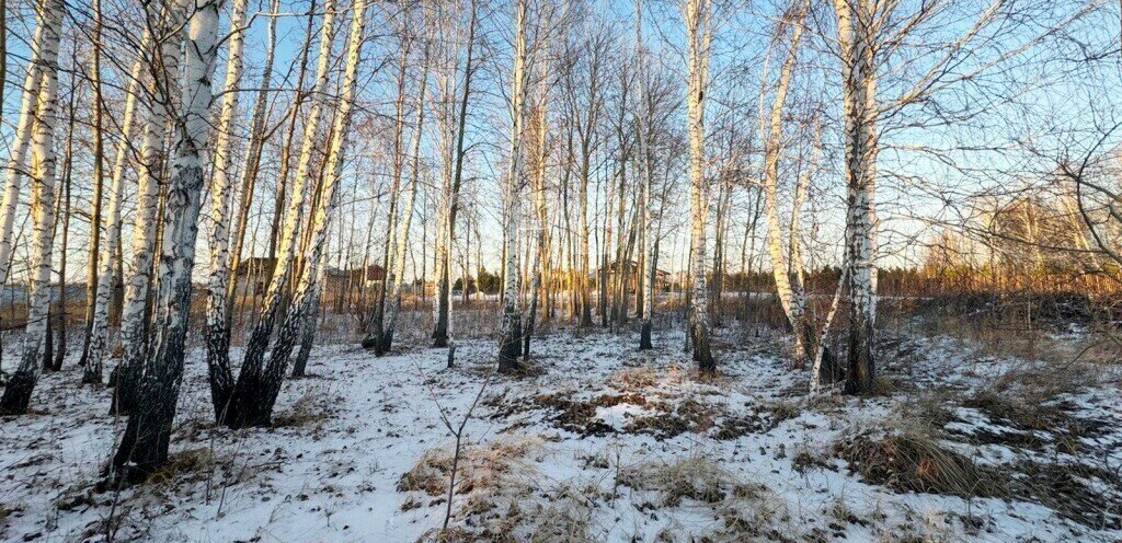 земля р-н Тюменский коттеджный посёлок Новокаменский фото 14