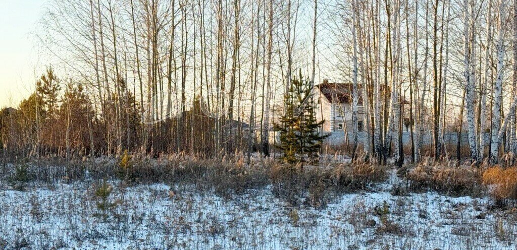 земля р-н Тюменский коттеджный посёлок Новокаменский фото 12