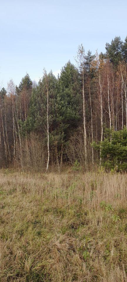 земля городской округ Клин рп Решетниково ул Почтовая городской округ Клин фото 1