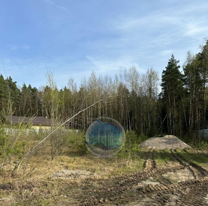 земля городской округ Раменский д Осеченки ул Заповедная Лесной фото 1