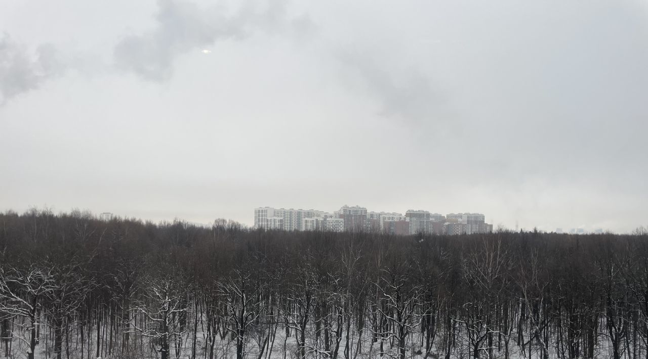 квартира городской округ Ленинский д Боброво снт Бутово Бутово, Бутово Парк жилой комплекс, 5 фото 26