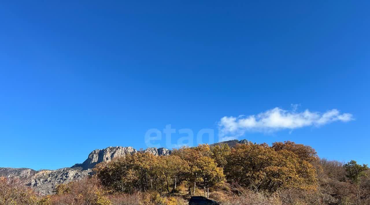 земля г Алушта с Лучистое ул Табачная фото 8