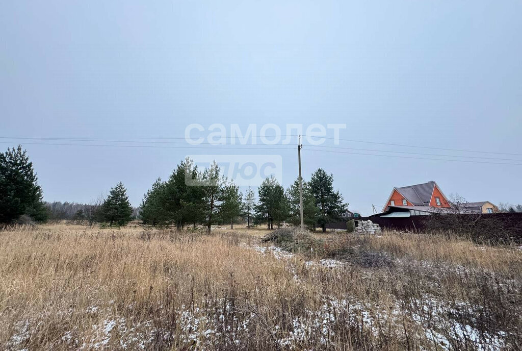 земля городской округ Орехово-Зуевский д Радованье фото 8