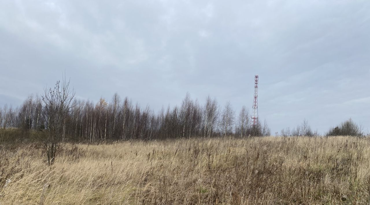 земля городской округ Шаховская Дор, Центральная улица фото 2