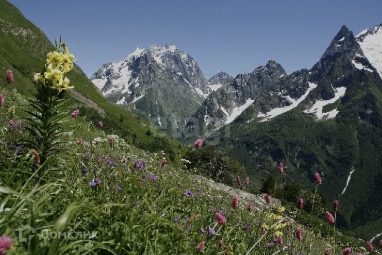 земля р-н Алагирский Верхний Згид фото 1