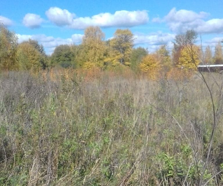 земля Переславль-Залесский городской округ, деревня Любимцево фото 4