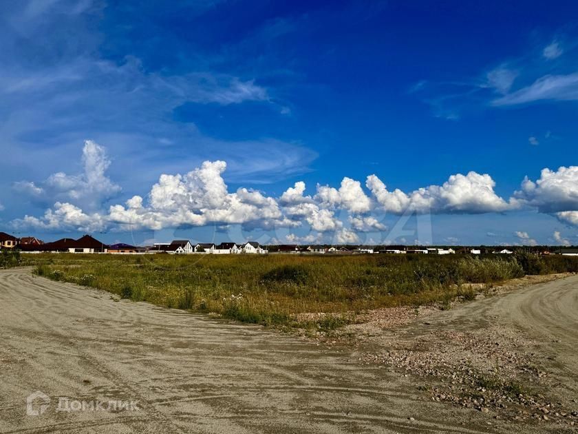 земля р-н Тюменский Луговое фото 1