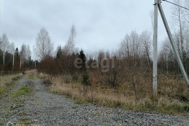 Зашекснинский, Череповец городской округ фото