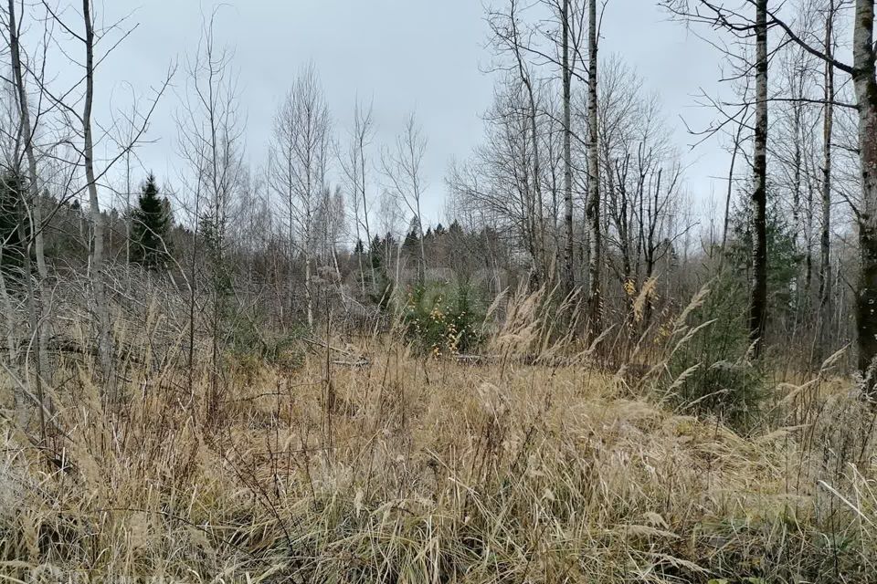 земля г Череповец Зашекснинский, Череповец городской округ фото 4