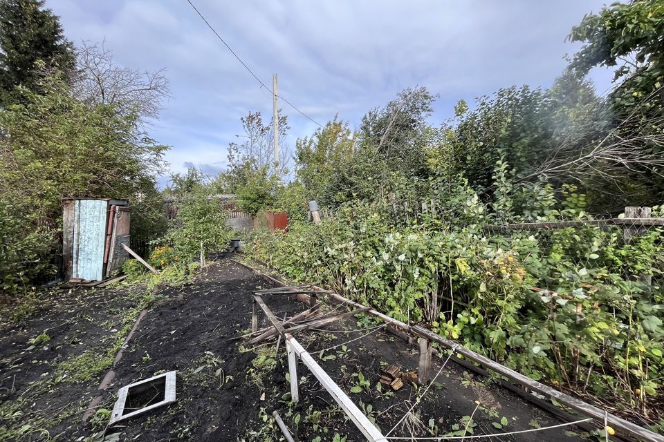 земля Омск городской округ, СТ Любитель фото 6