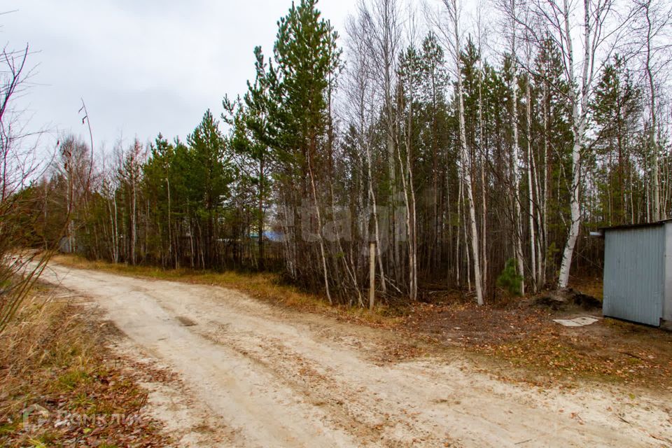 земля г Сургут тер ПСДК N 53 Озёрное Сургут городской округ, 7-я улица, 128 фото 10