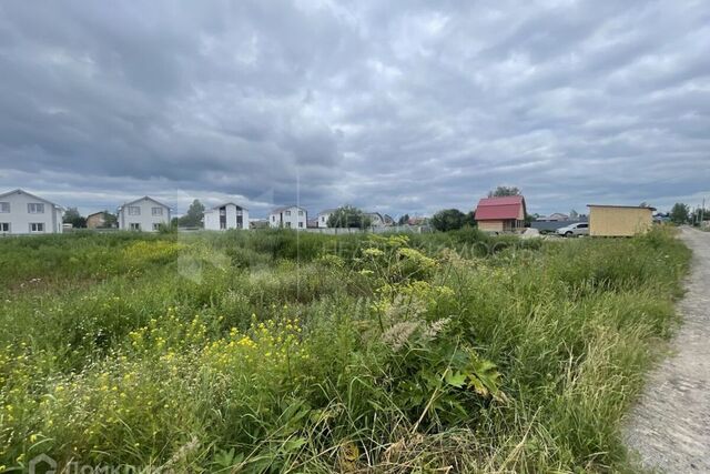 Тюмень городской округ, СО Царёво фото