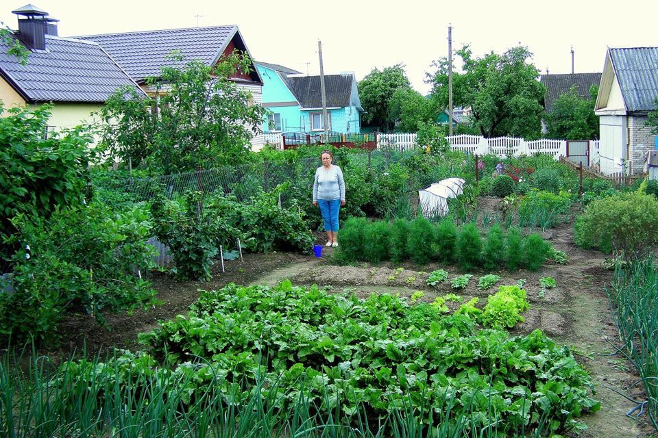 дом г Барнаул Барнаул городской округ, СНТ Калинка фото 2