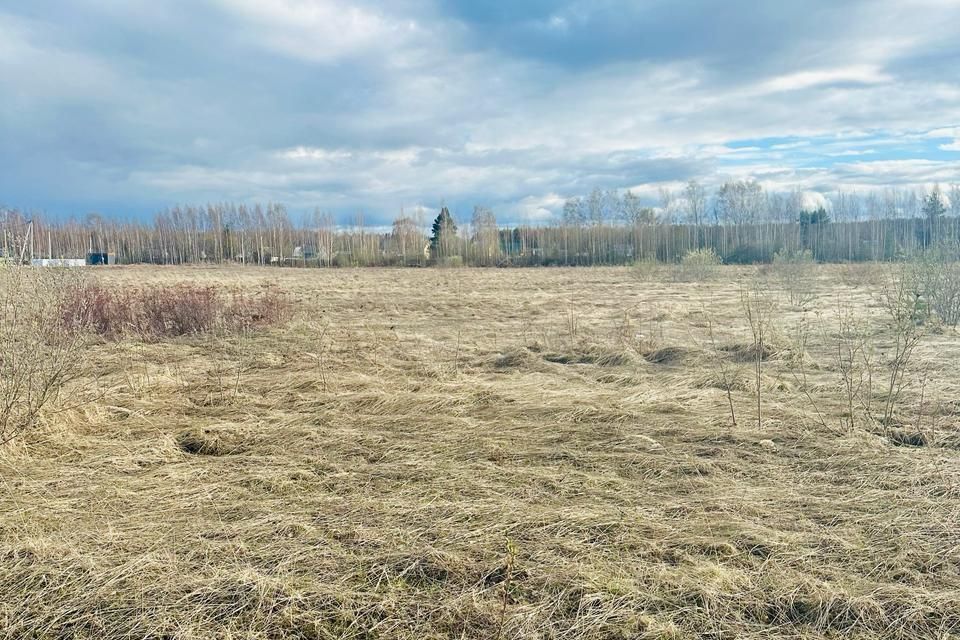 земля г Кострома городской округ Кострома, Фабричный фото 8