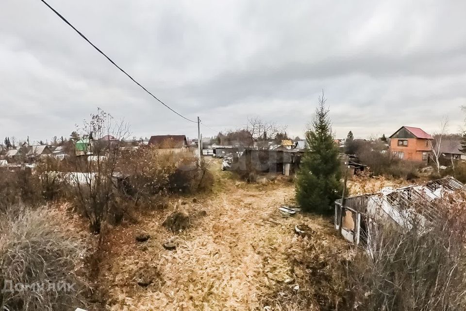 земля г Тюмень Тюмень городской округ, СО Плодовое фото 9