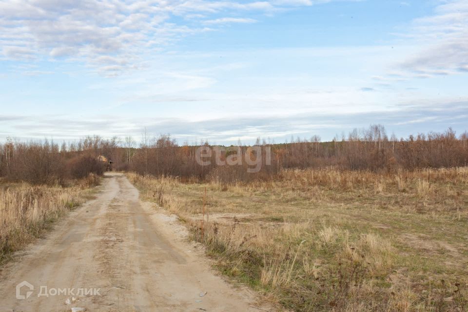 земля р-н Тобольский Ломаева фото 7