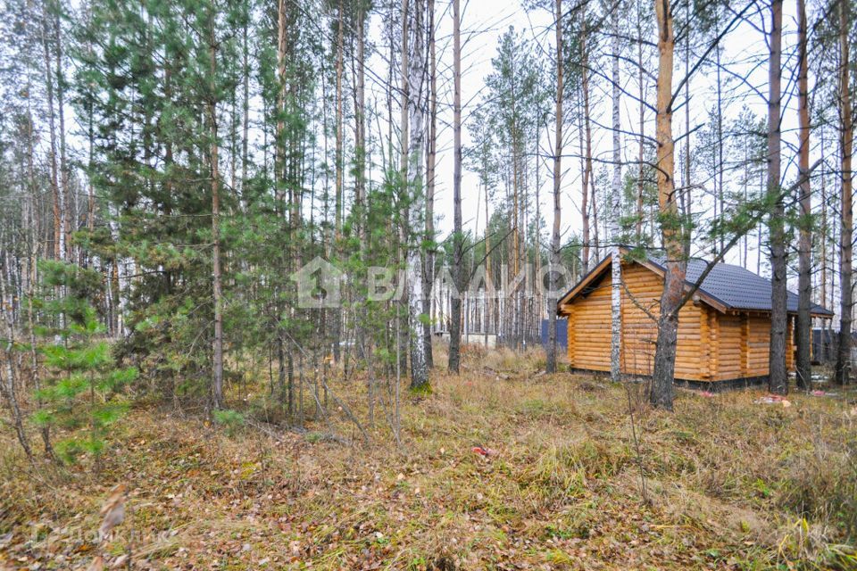 земля р-н Новосибирский с Новолуговое улица Восточная фото 10