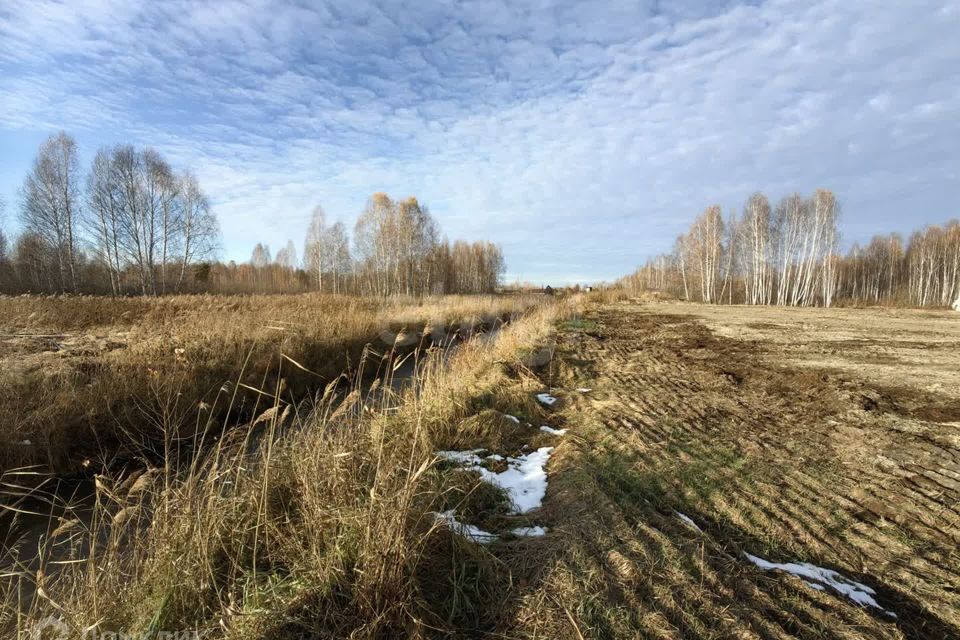 земля р-н Нижнетавдинский Нижние Тарманы фото 10