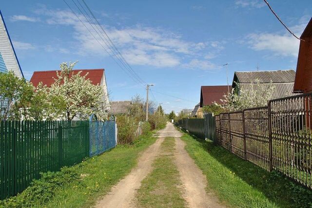 Барнаул городской округ, СНТ Калинка фото