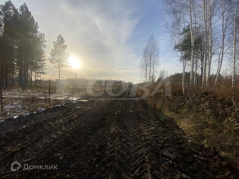 земля р-н Нижнетавдинский фото 5