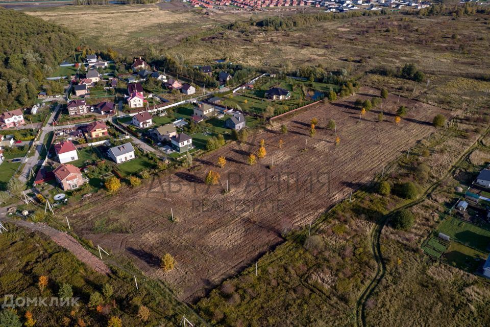 земля р-н Гурьевский п Голубево ул Центральная 15/1 фото 7