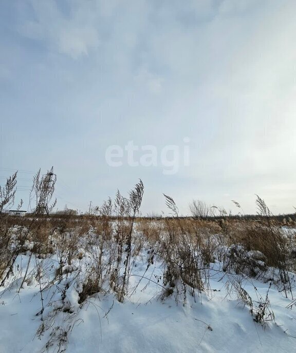 земля р-н Хабаровский с Восточное фото 7