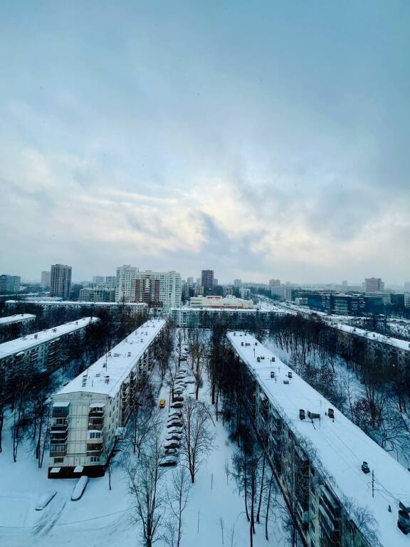 квартира городской округ Раменский с Зюзино Москва фото 35