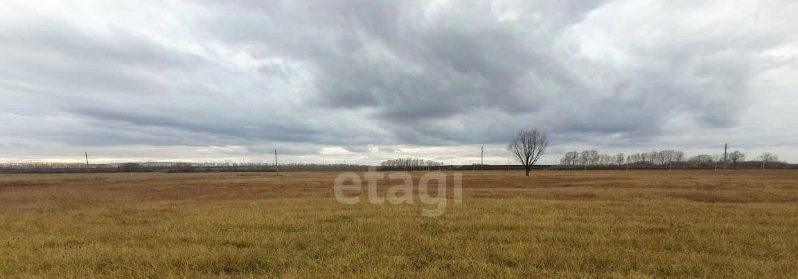 земля р-н Стерлитамакский д Байрак Отрадовский сельсовет фото 2