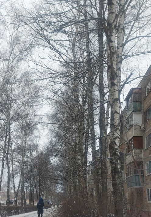 квартира городской округ Подольск Юбилейная улица, 18 фото 4