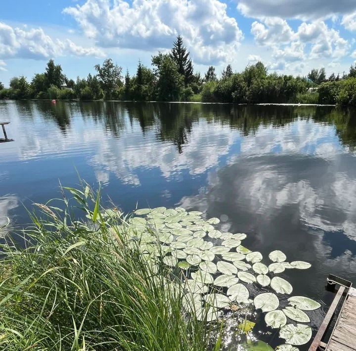 дом р-н Колыванский Вилана садовое товарищество, ул. Вишневая, 19 фото 6