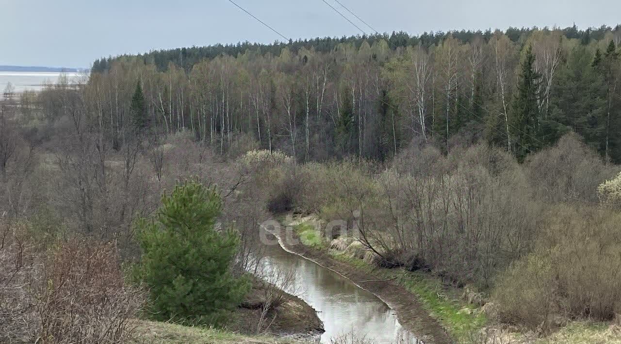 земля р-н Воткинский д Забегаево фото 15