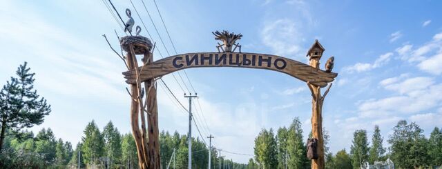 Колтушское городское поселение, 241, Всеволожский район фото