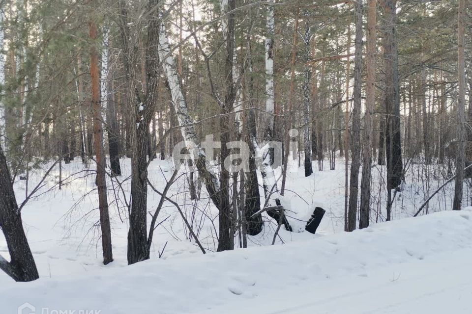 земля р-н Березовский ДНТ Лужники фото 2