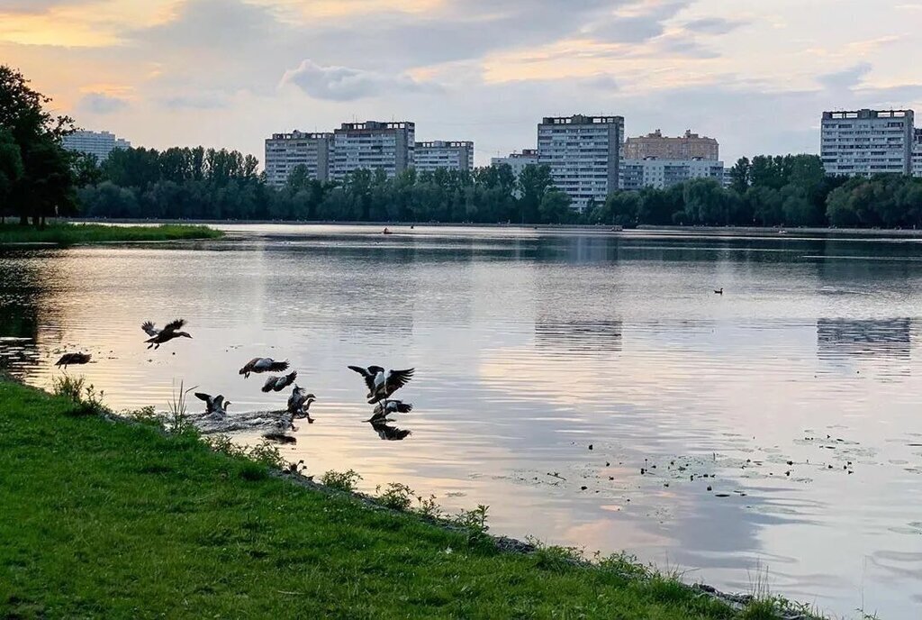 квартира г Москва метро Коптево ул Михалковская 40 муниципальный округ Головинский фото 13