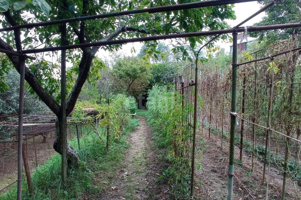 земля Сочи городской округ, Хостинский фото 3