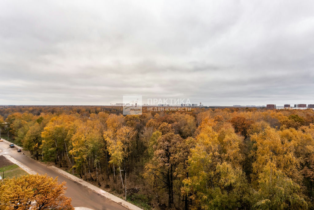 квартира г Москва метро Прокшино Лобановский Лес ул., 13, обл Московская фото 3