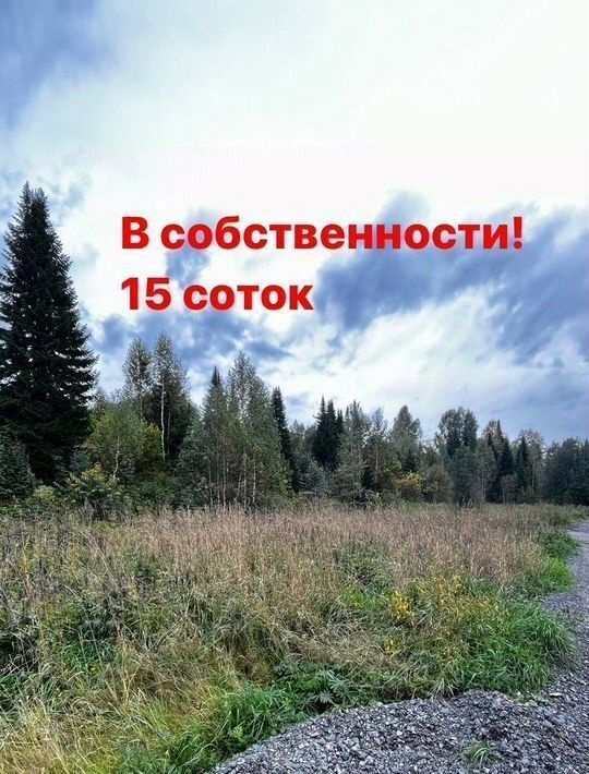 земля р-н Таштагольский пгт Шерегеш Шерегешское городское поселение, Старый Шерегеш кв-л фото 1