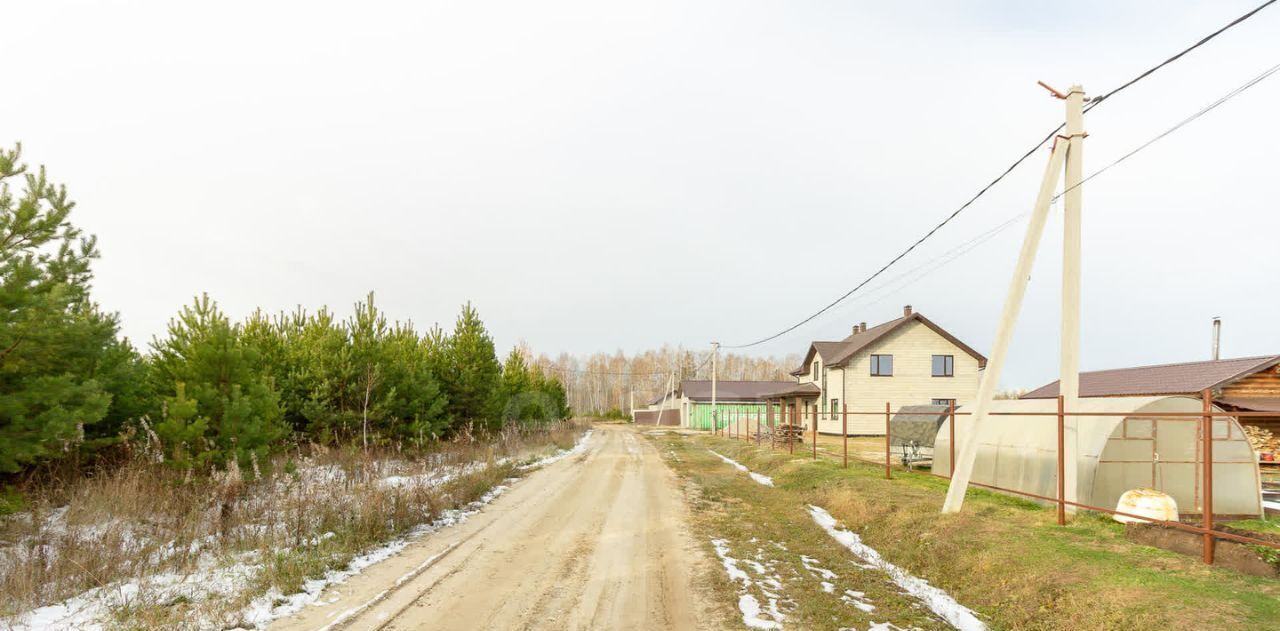 земля р-н Тюменский с Каменка Подушкино ДНТ фото 8