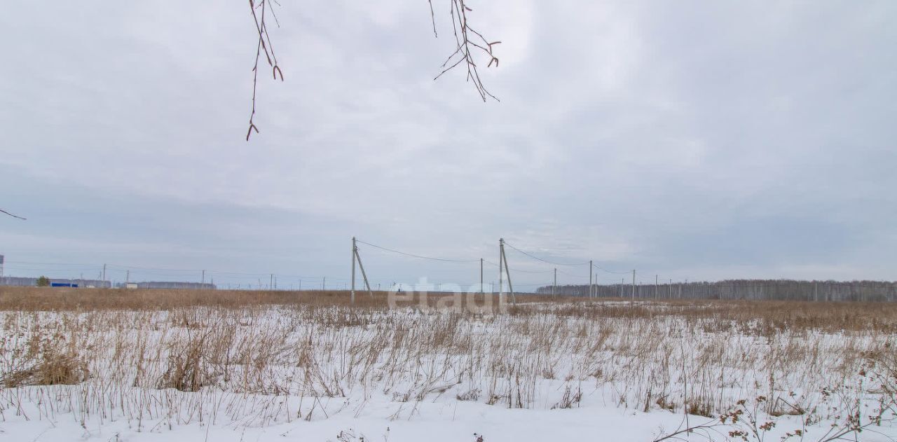 земля р-н Нижнетавдинский Деревня Малый хут., ул. Мира фото 9