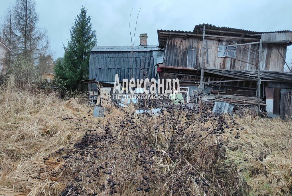 дом городской посёлок Большая Ижора, Лесная улица фото 3