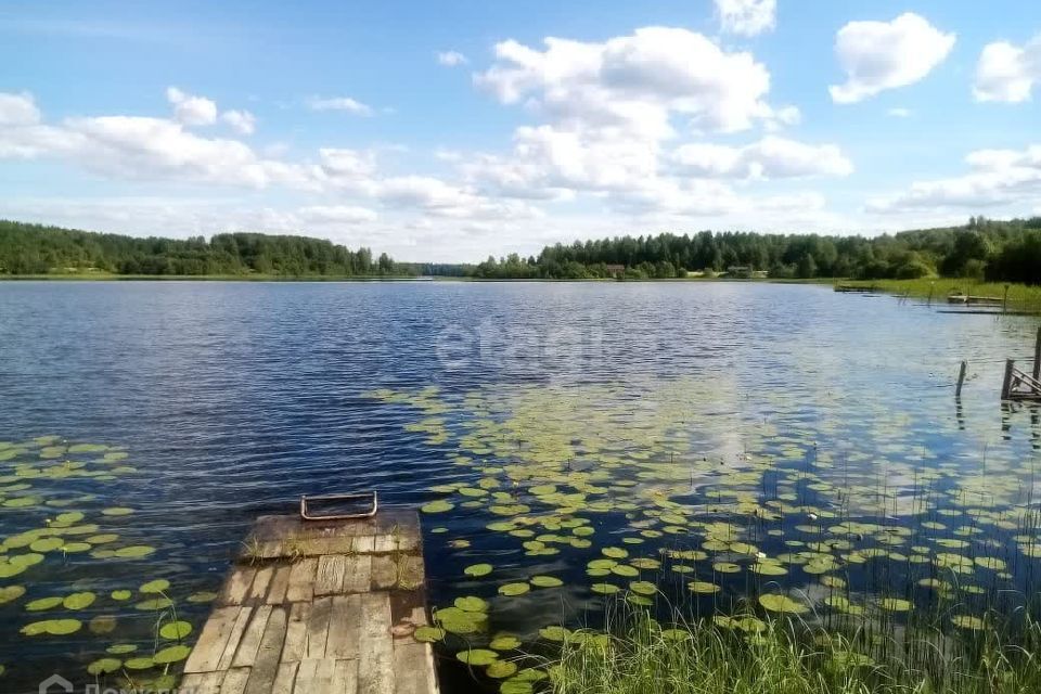 земля р-н Кондопожский д Гомсельга ул Пасечная фото 1