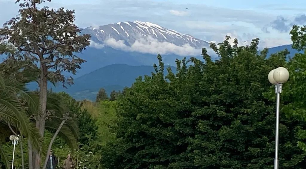 квартира г Сочи р-н Адлерский ул Веселая 82/1 фото 29