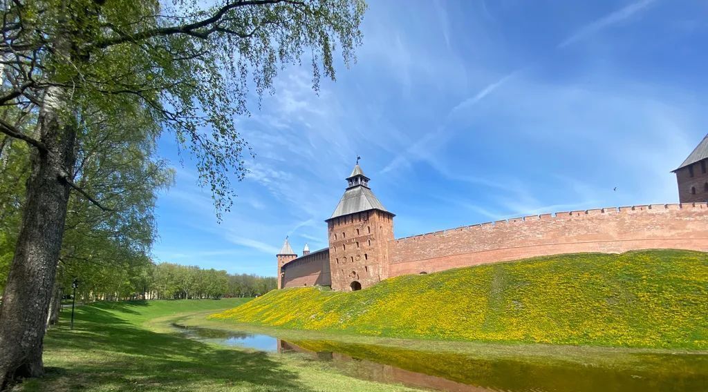 квартира г Великий Новгород ул Орловская 37 фото 15