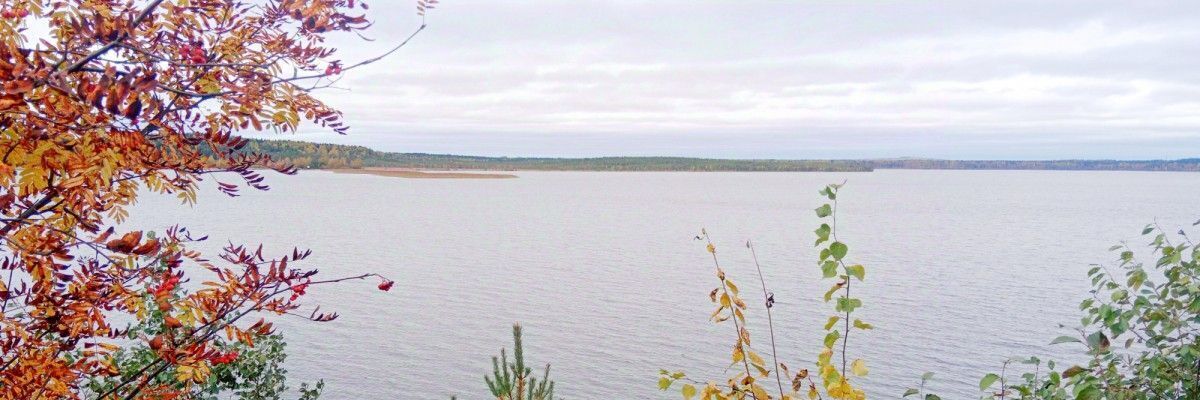 земля р-н Всеволожский Токсовское городское поселение, Токсово городской поселок, Девяткино, ул. Поперечная, 3 фото 2