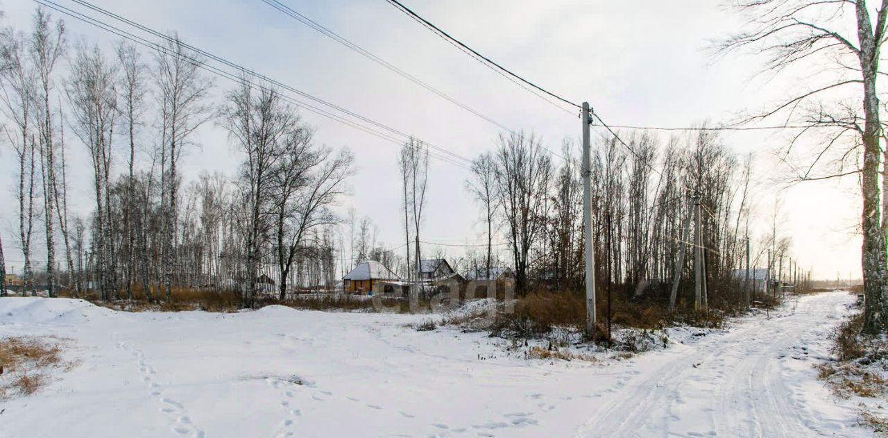 земля р-н Новосибирский с Марусино Криводановский сельсовет, ул. Ясная, 22 фото 4