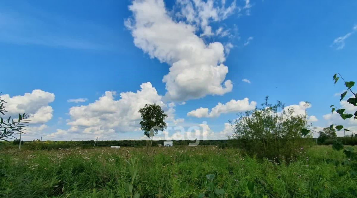 земля р-н Новосибирский снт Озерки Криводановский сельсовет, ДНТ фото 2