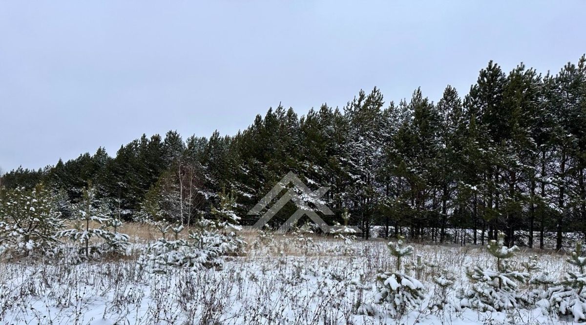 дом р-н Высокогорский д Чернышевка ул Ульяновская фото 18