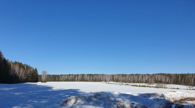 земля ул Береговая Невьянский городской округ фото