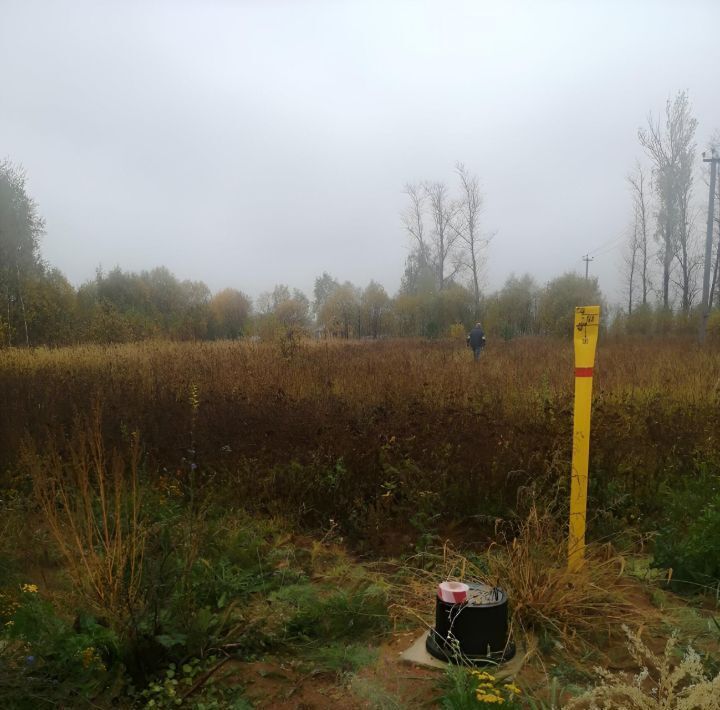 земля р-н Заокский рп Заокский ул Осенняя городское поселение Заокский фото 1